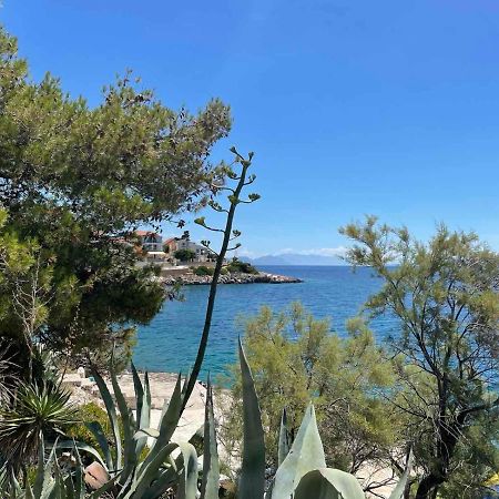 Apartments Papic Trogir Exteriér fotografie